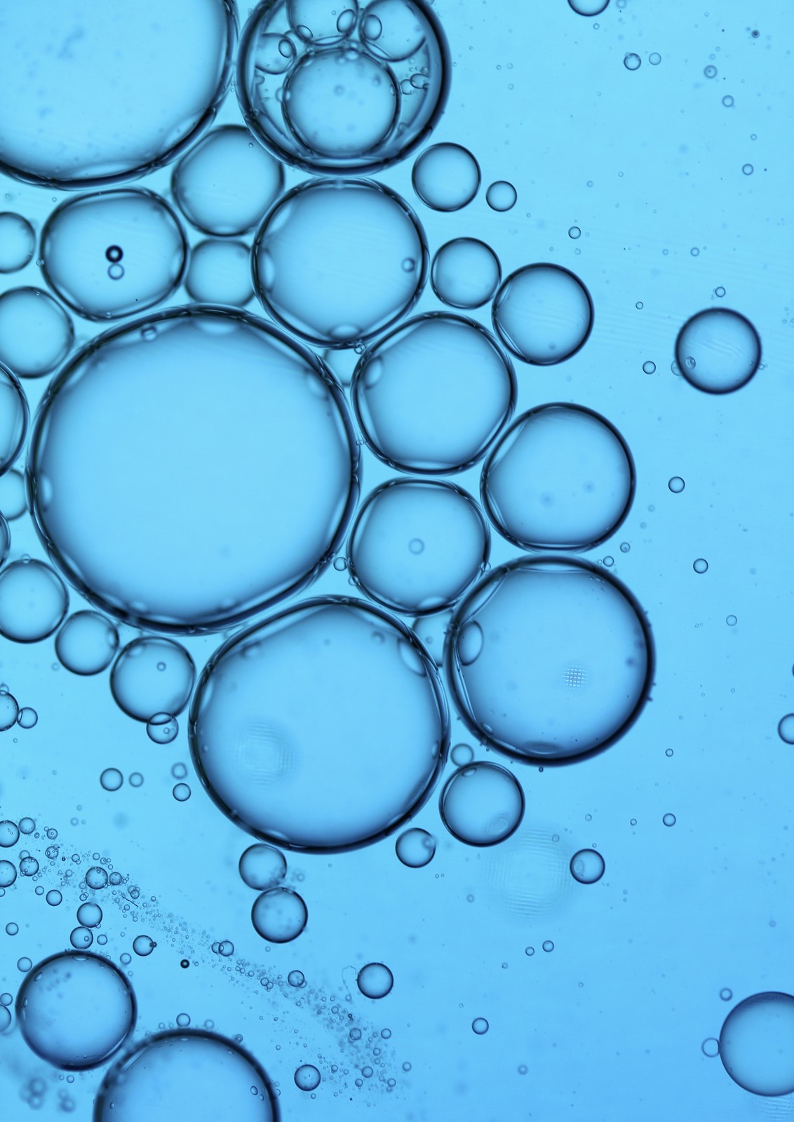 Bubbles - Photography