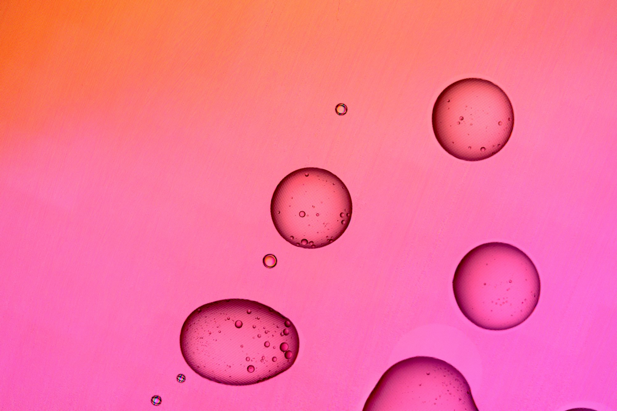 Abstract Liquids — pink and orange oil
