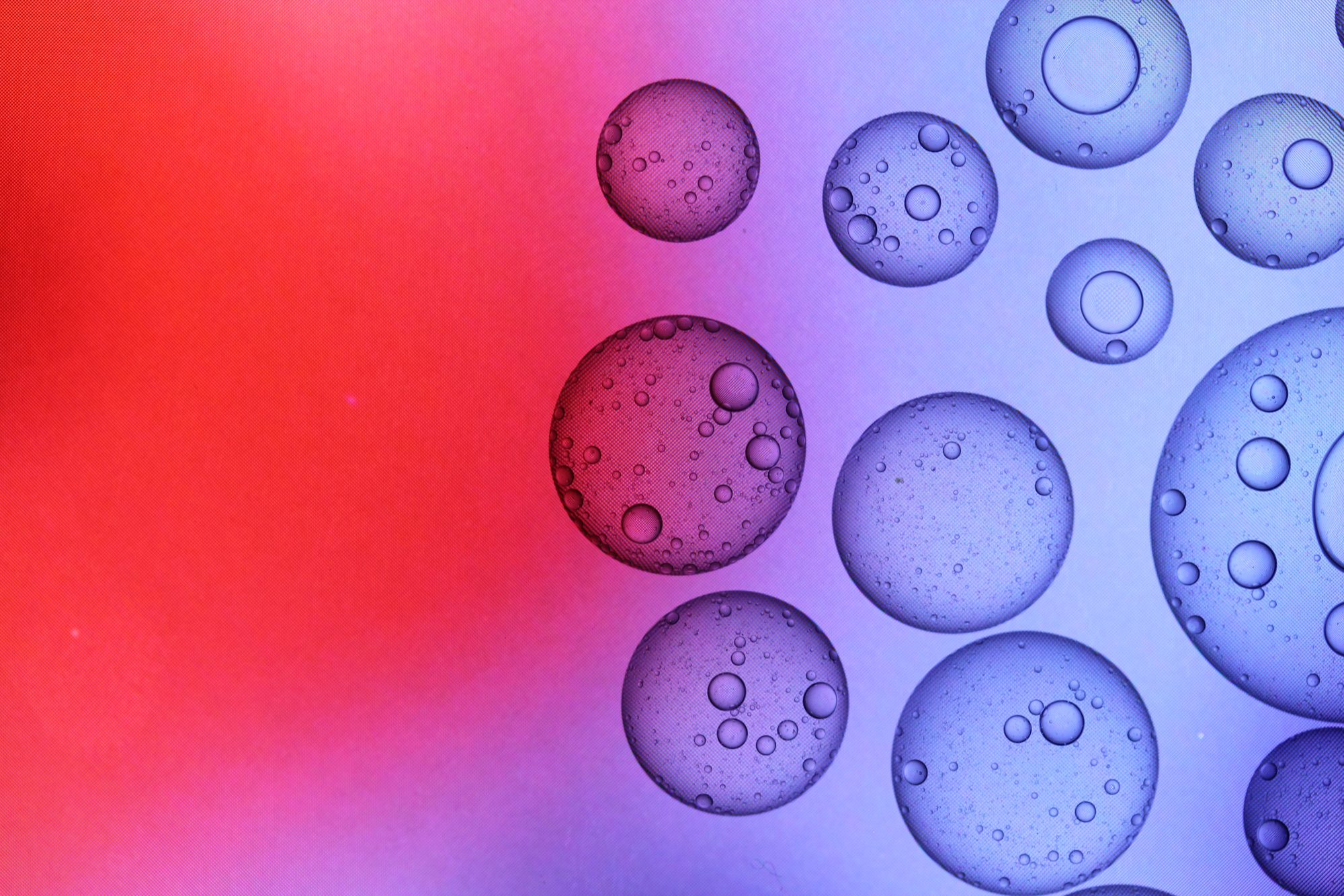 Abstract Liquids — frame 06