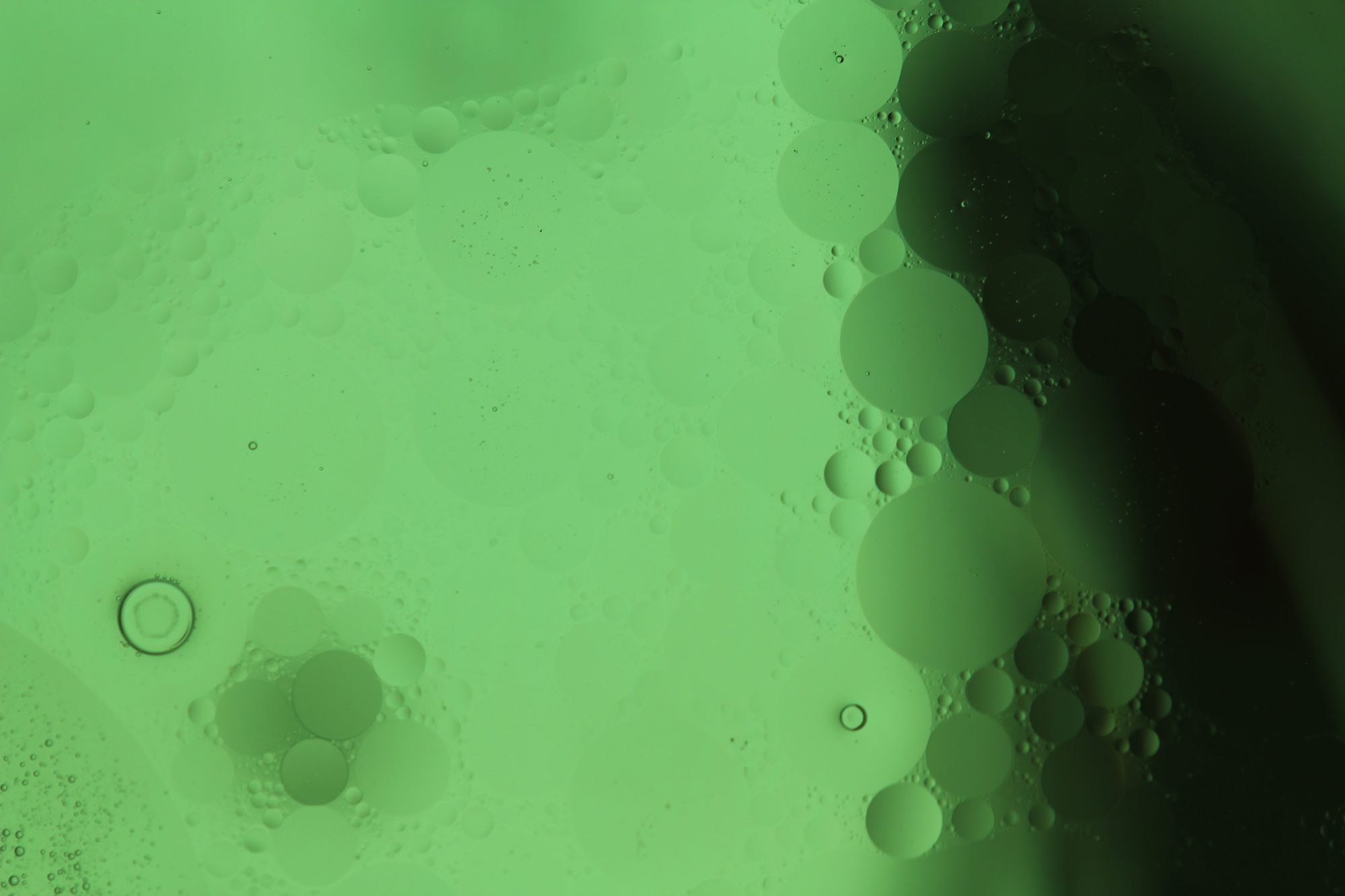 Abstract Liquids — frame 10