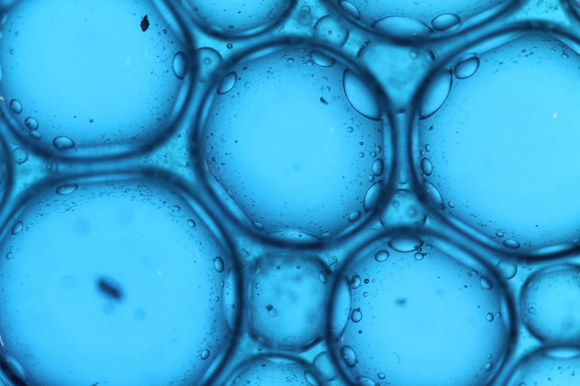 Abstract Liquids — frame 12