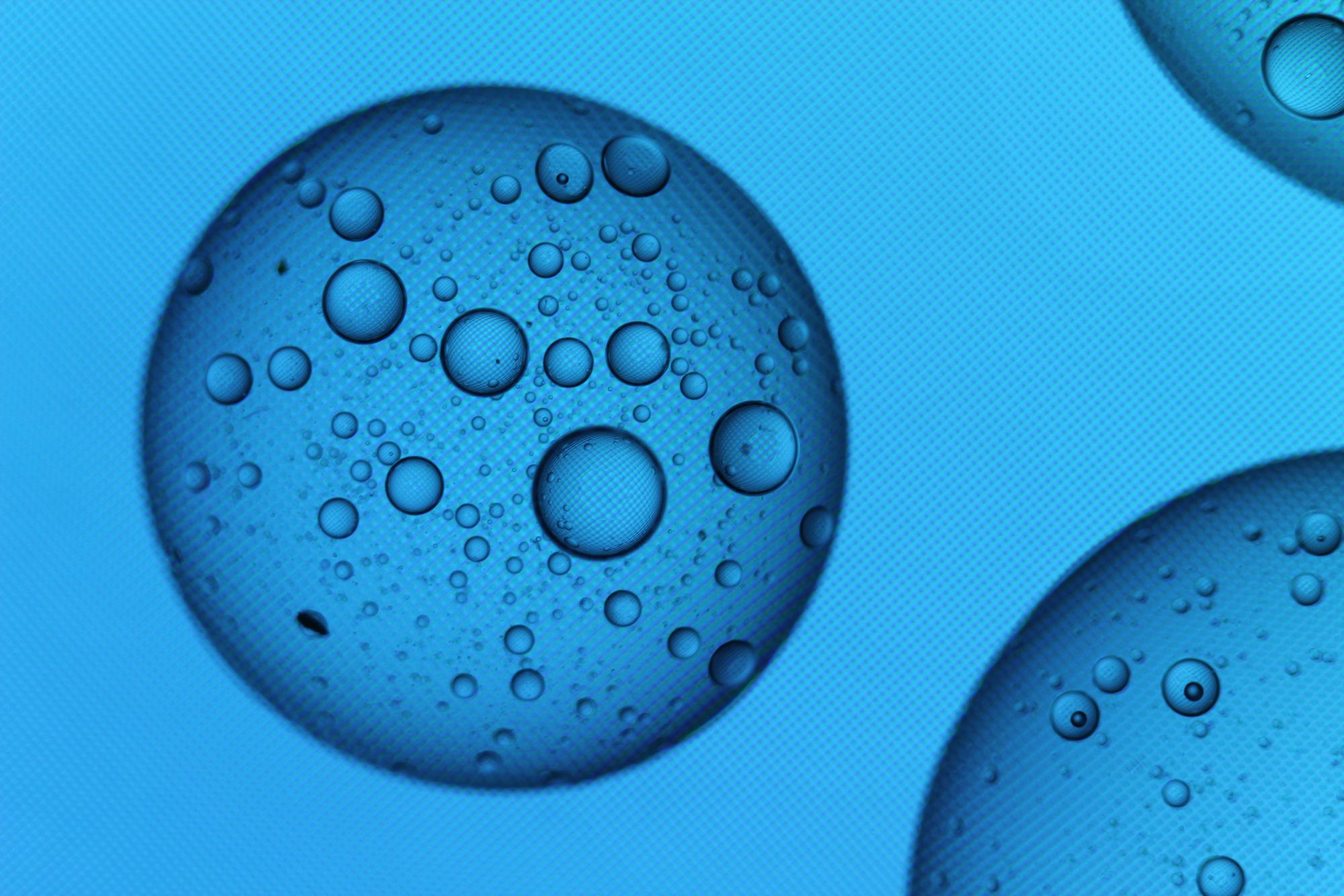 Abstract Liquids — frame 14