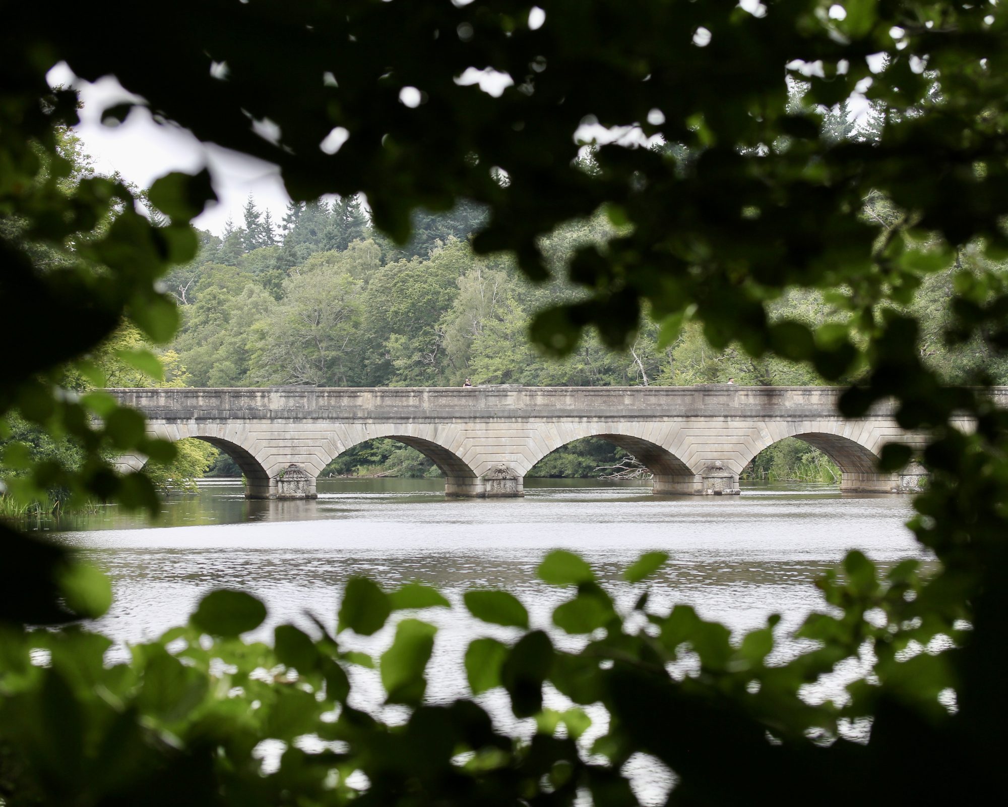 Beauty in Nature — stone bridge through leaves