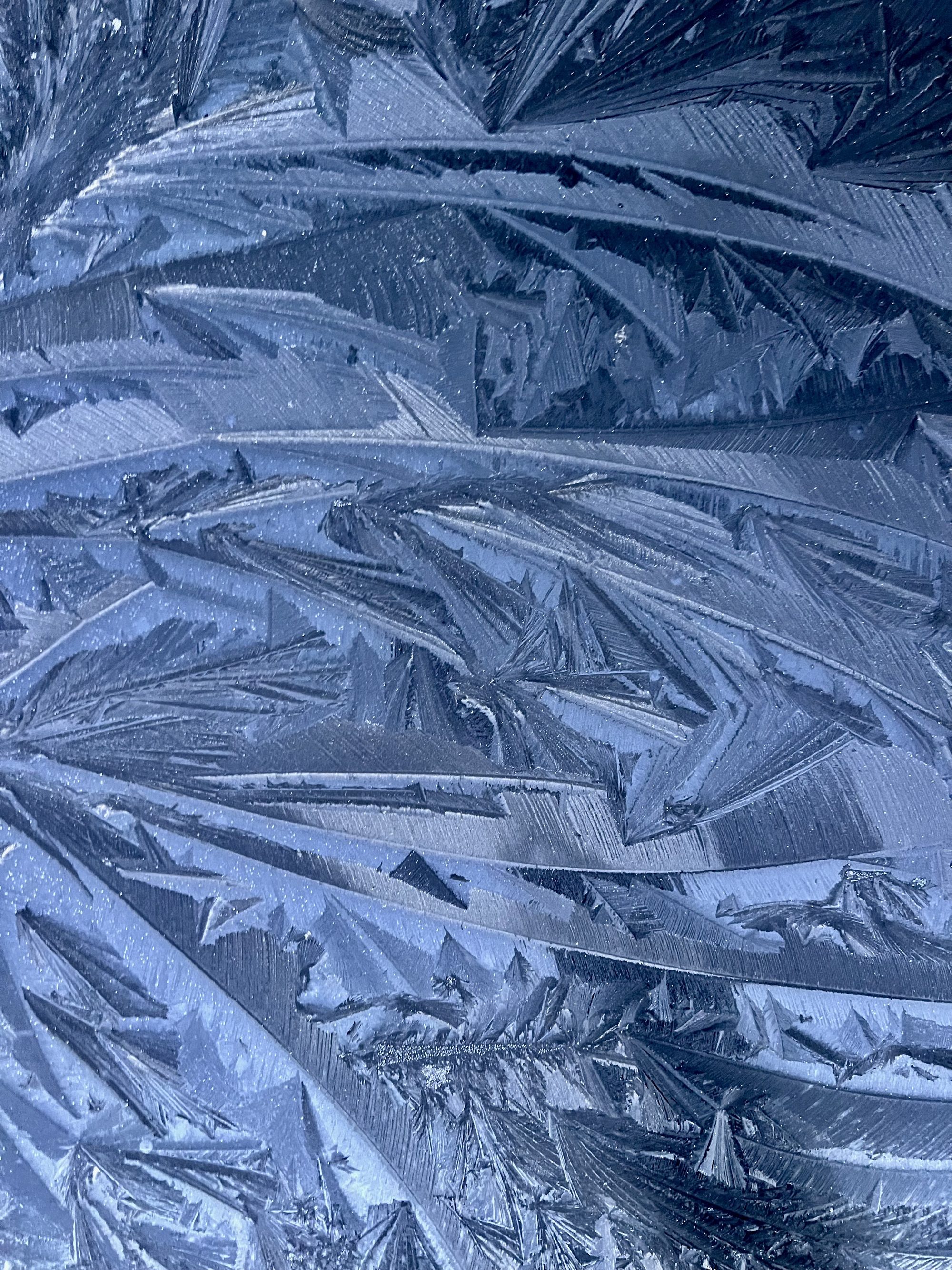 Beauty in Nature — ice crystal patterns