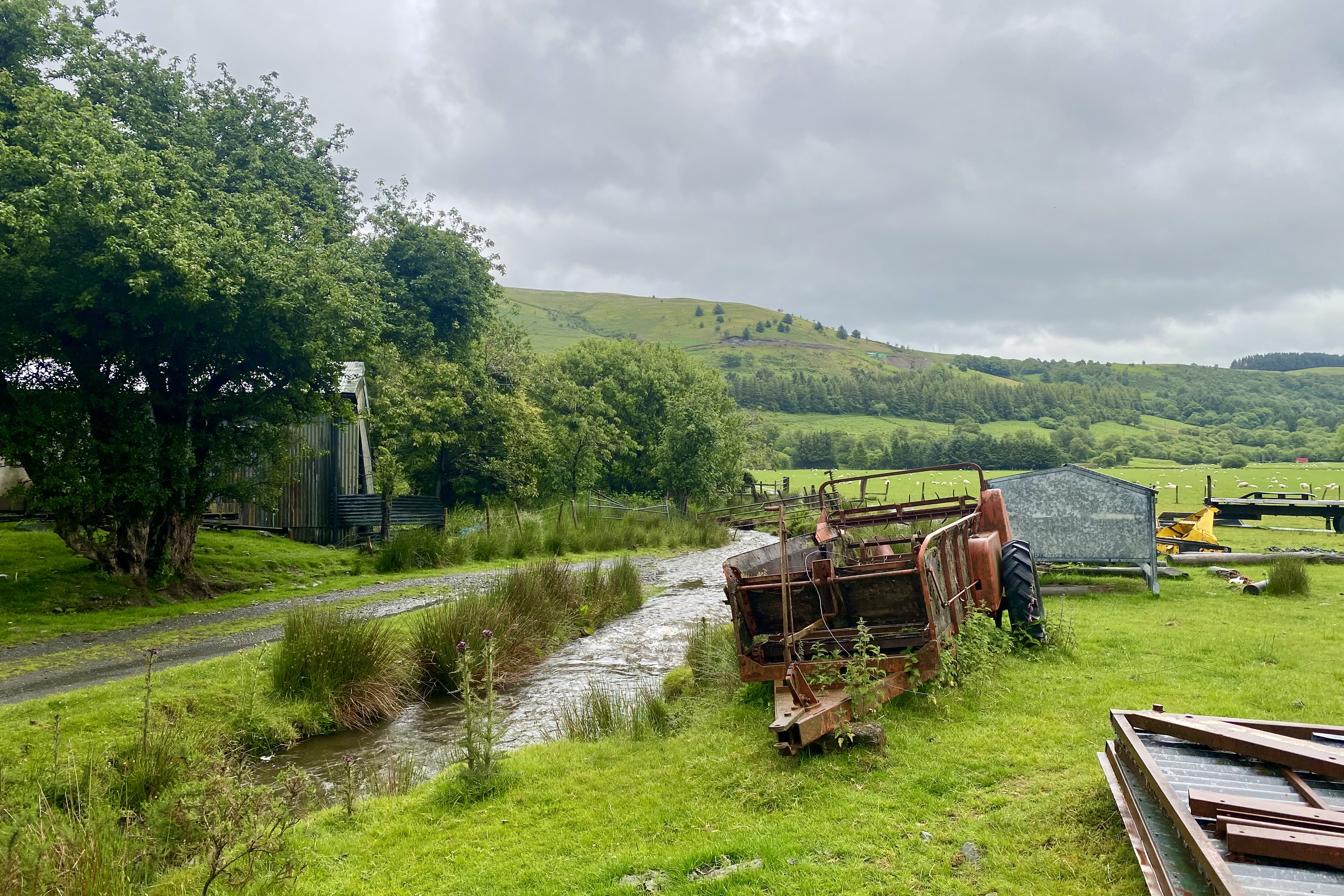 Beauty in Nature — rusted machine