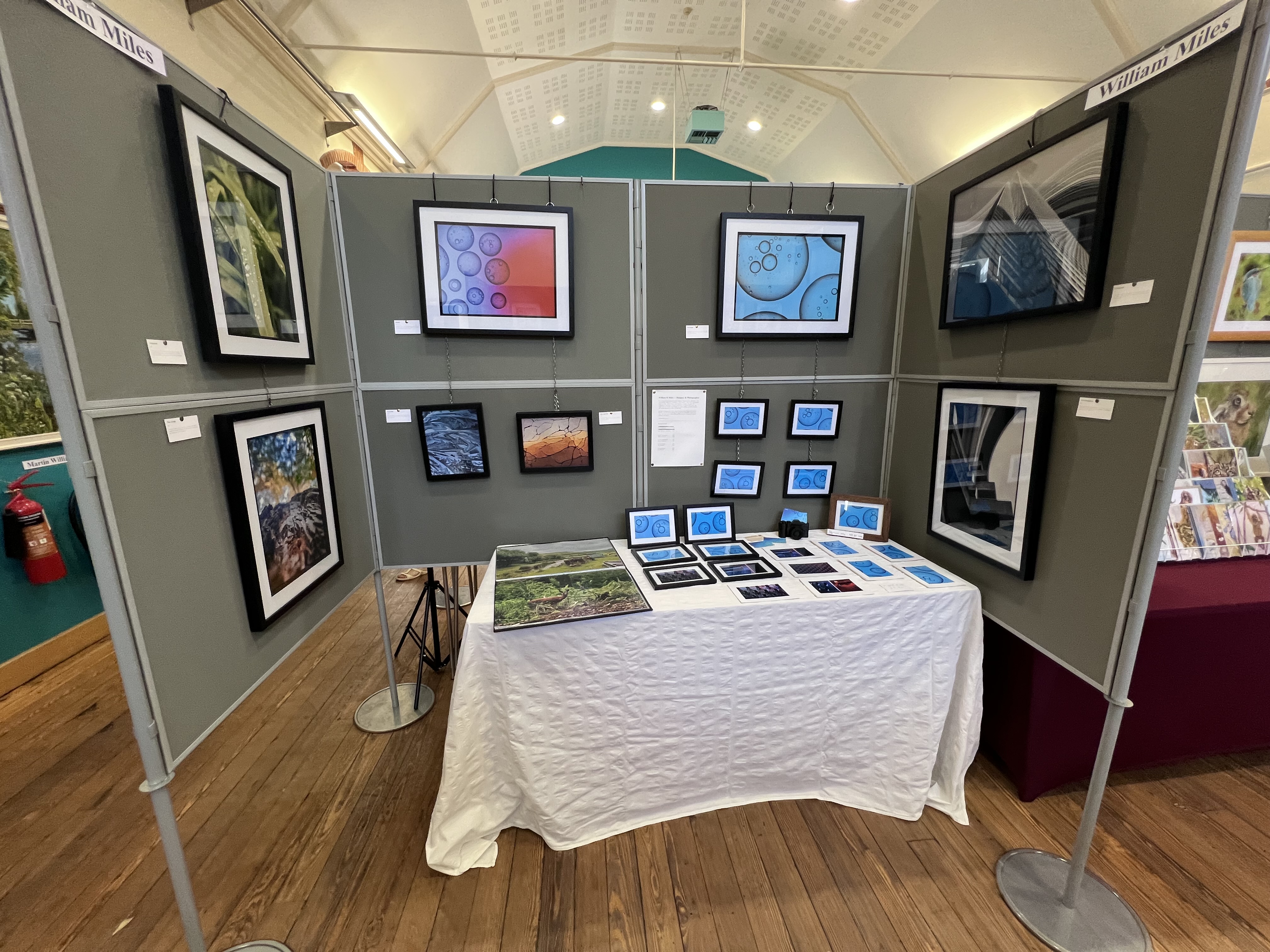 Windsor Artists Collective — exhibition print