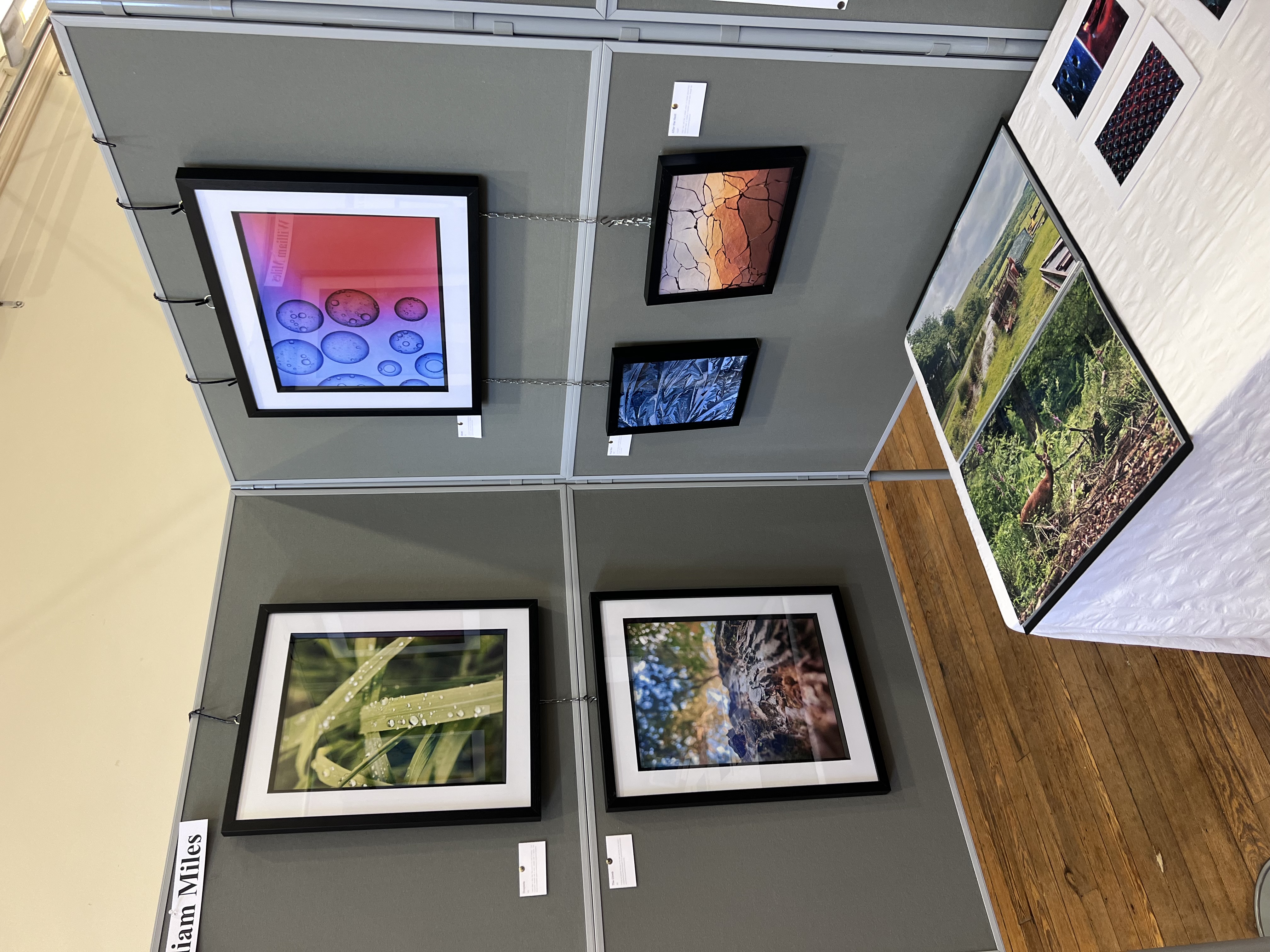 Summer Exhibition — image 5